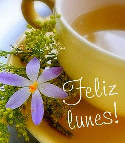 FELIZ LUNES
