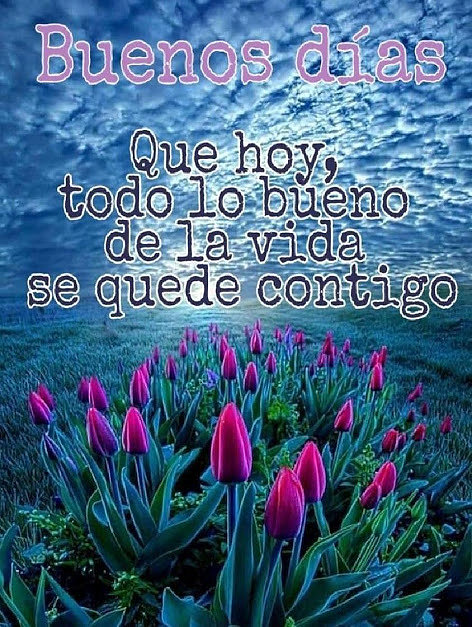 FELIZ MIERCOLES