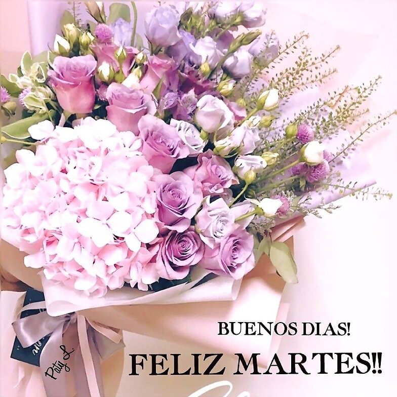FELIZ MARTES