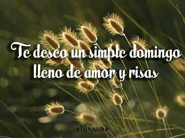 FELIZ DOMINGO