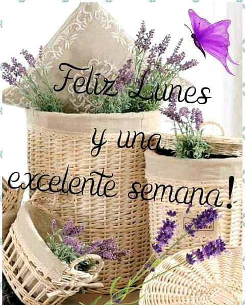 FELIZ INICIO DE SEMANA