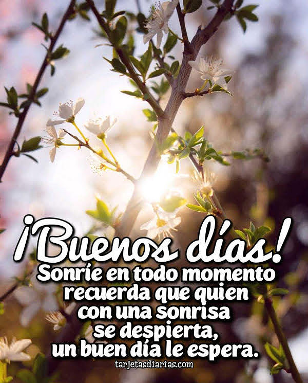FELIZ MIERCOLES