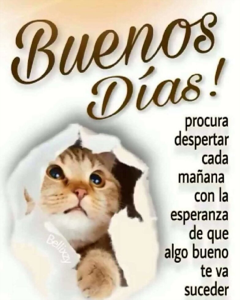 FELIZ JUEVES