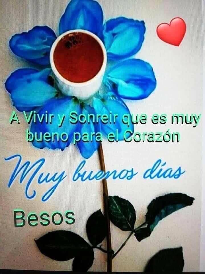 FELIZ MARTES