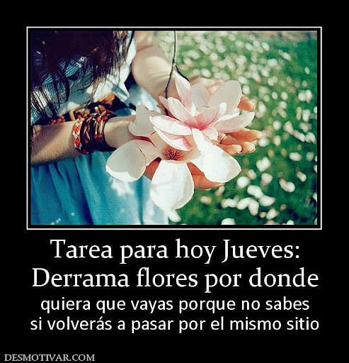 FELIZ JUEVES