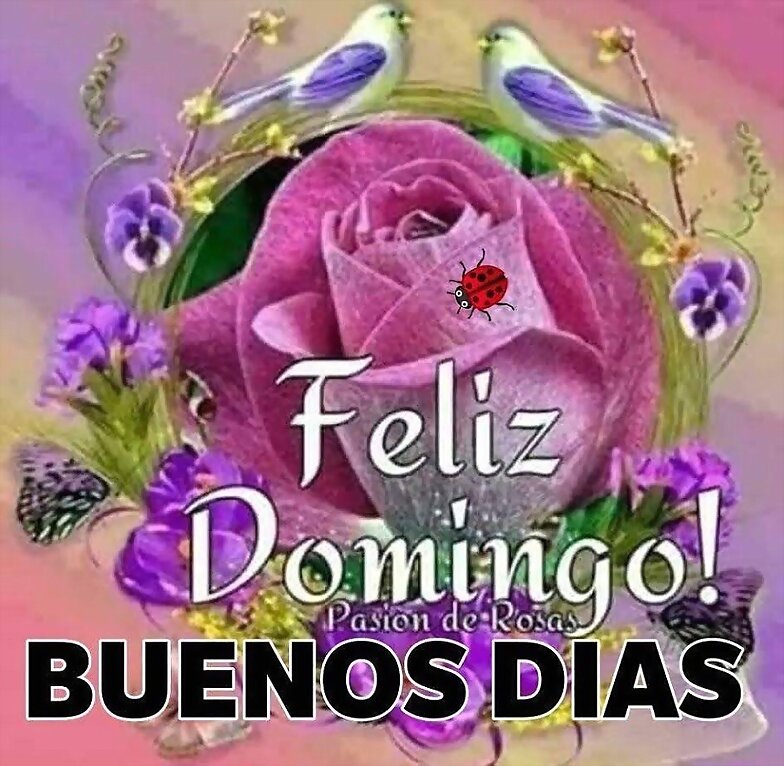 FELIZ DOMINGO