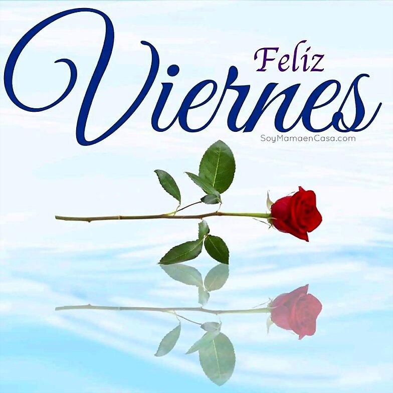 FELIZ VIERNES