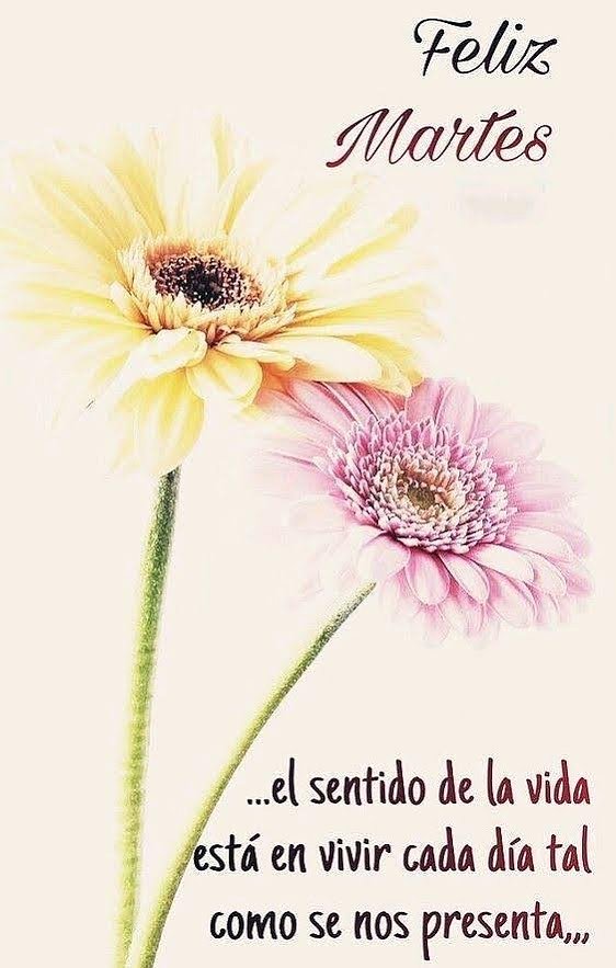 FELIZ MARTES
