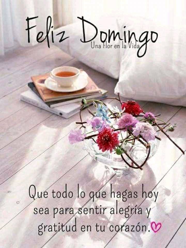FELIZ DOMINGO