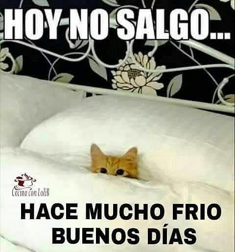 FELIZ MARTES
