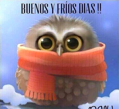 FELIZ SABADO
