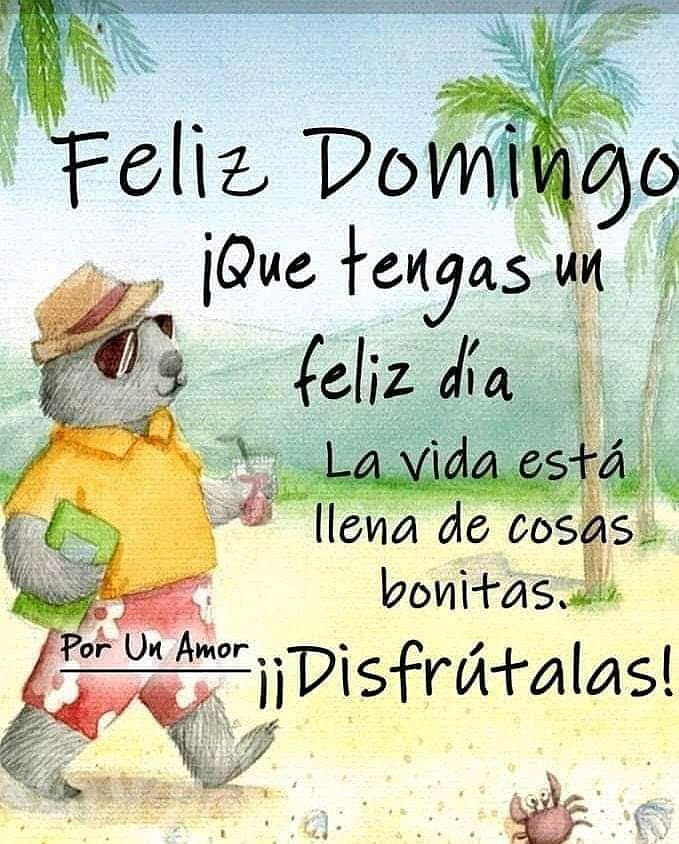 FELIZ DOMINGO