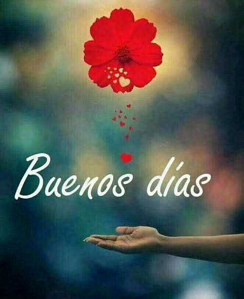 FELIZ VIERNES