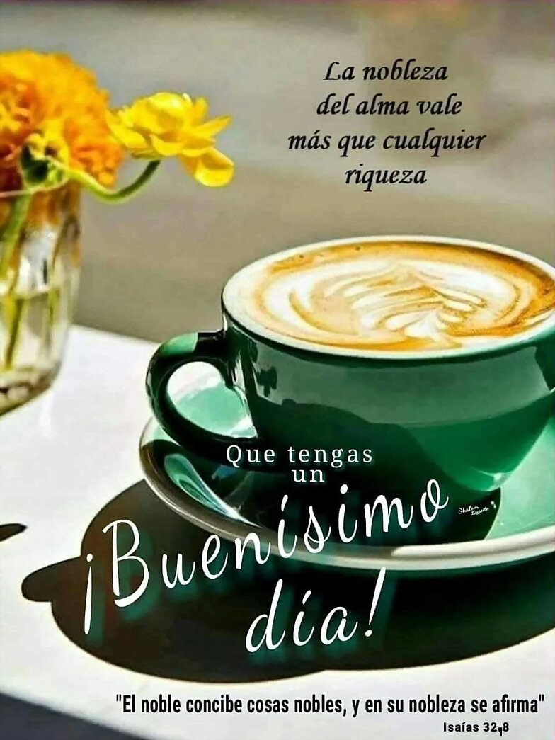 FELIZ MARTES
