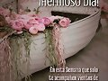 FELIZ INICIO DE SEMANA