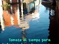 FELIZ MARTES