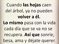 FELIZ MARTES