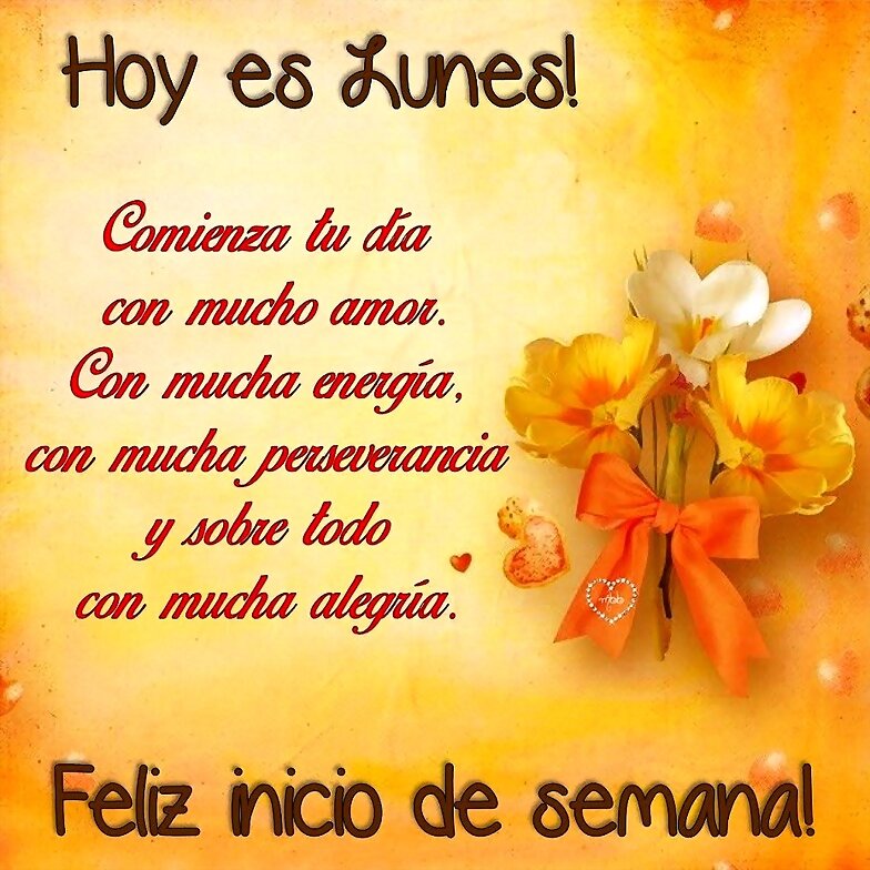 FELIZ INICIO DE SEMANA