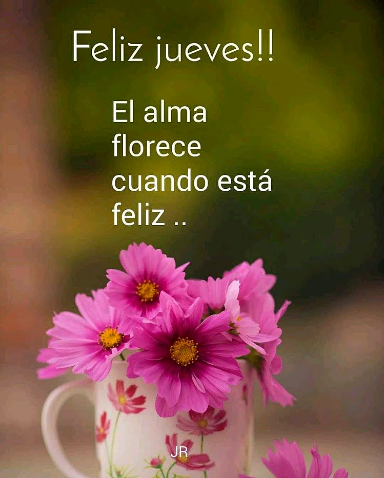 FELIZ JUEVES