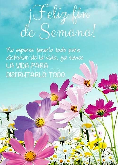 FELIZ SABADO