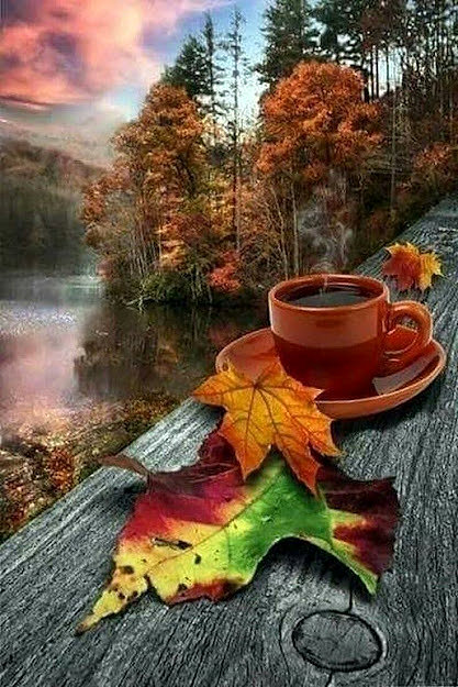 FELIZ MARTES