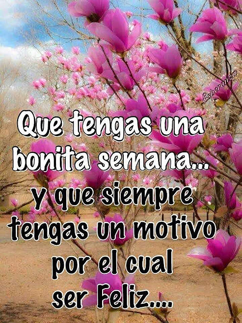 FELIZ INICIO DE SEMANA