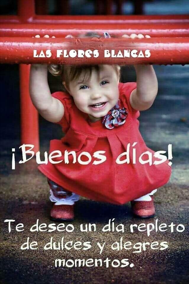 FELIZ  MARTES