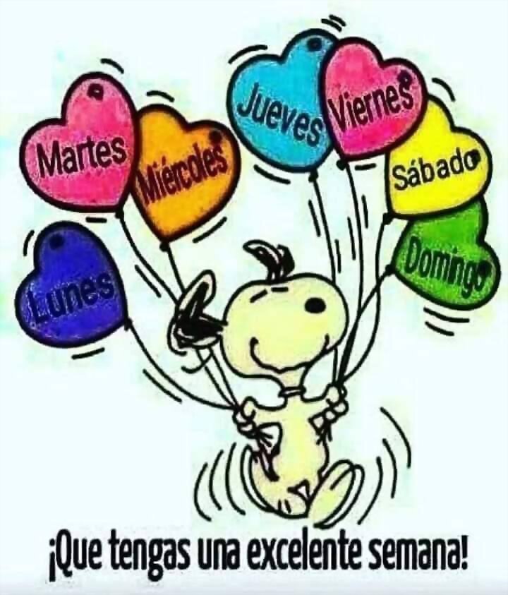 FELIZ INICIO DE SEMANA