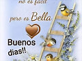 FELICES FIESTAS