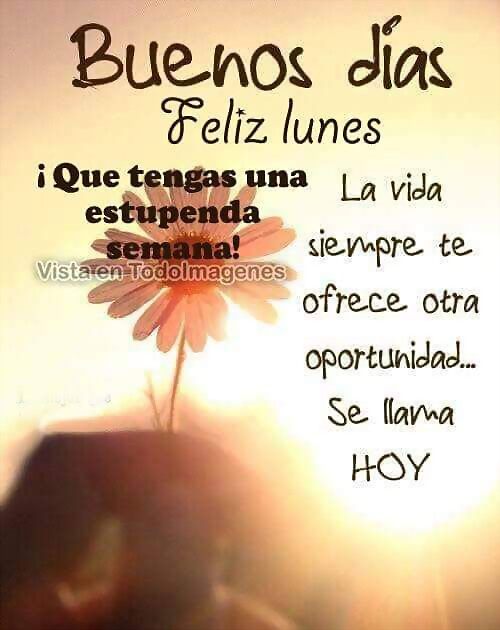 FELIZ INICIO DE SEMANA