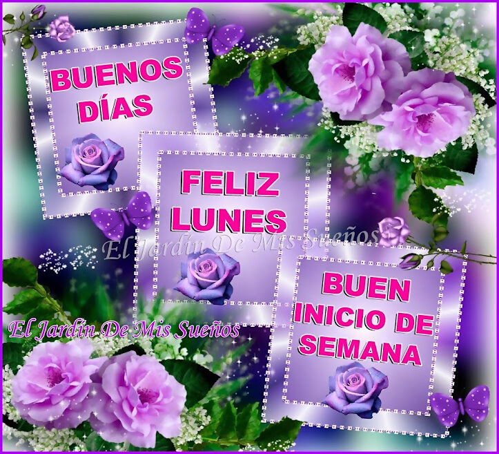 FELIZ INICIO DE SEMANA