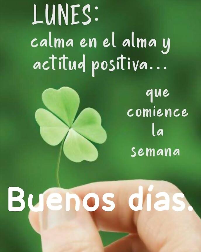 FELIZ INICIO DE SEMANA