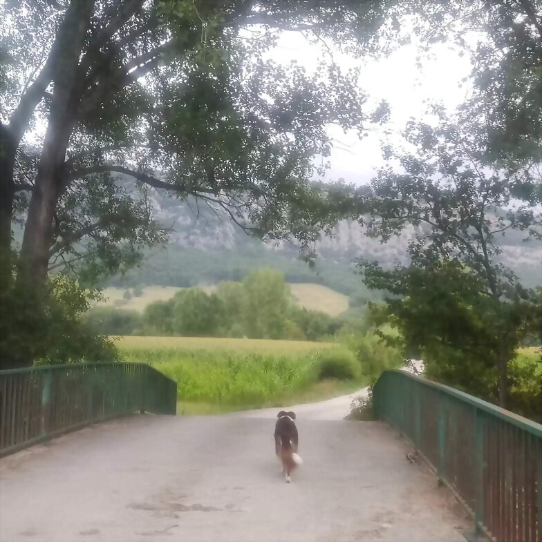FELIZ DOMINGO
