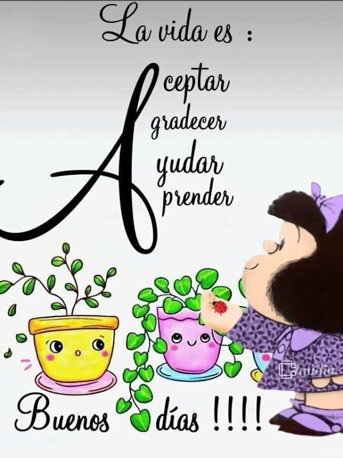 FELIZ FINDE