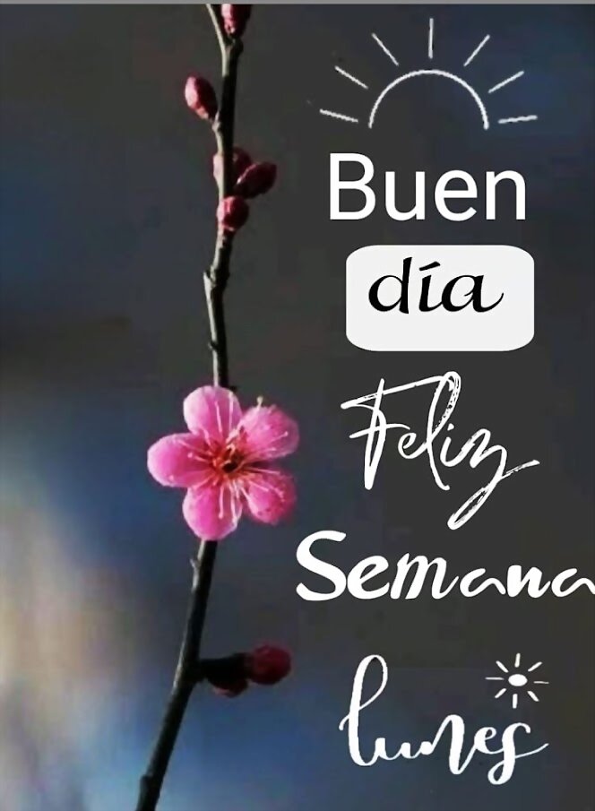 FELIZ INICIO DE SEMANA