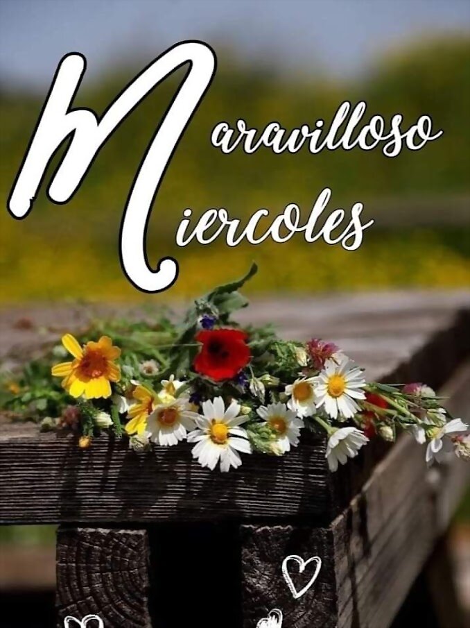 FELIZ MIERCOLES