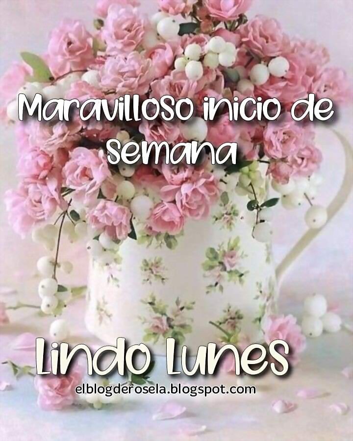 FELIZ INICIO DE SEMANA
