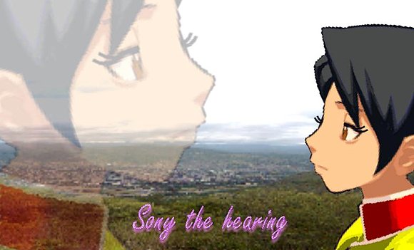 Sony the hearing Wall01