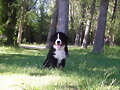 Con 3 meses y medio
