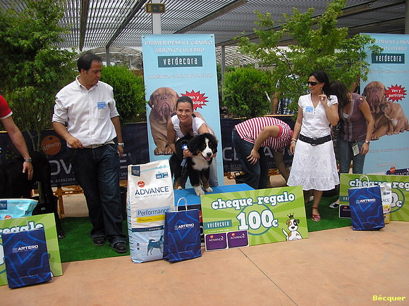 Su primer premio al perro más guapo