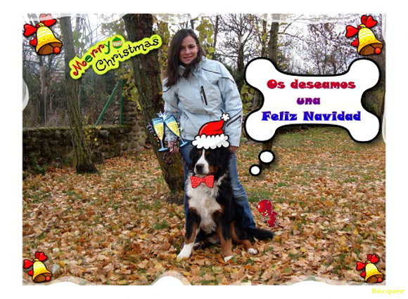 Felices fiestas a todos!