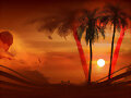 Top Por do Sol