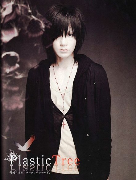 Plastic Tree!! Ryu !!