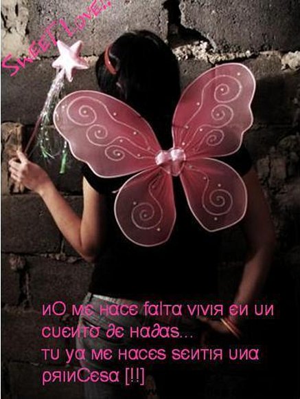 te amo