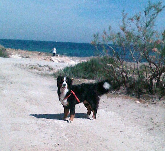mia en La Manga