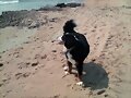 mia en Terreros