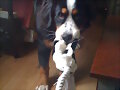 mia y su ex pelota