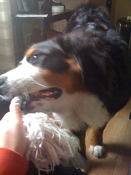 con la pelota se ensaña