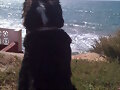 miraaando al maaar so&ntilde;eee que estabas juunto a mii