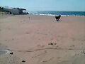 jugando en terreros